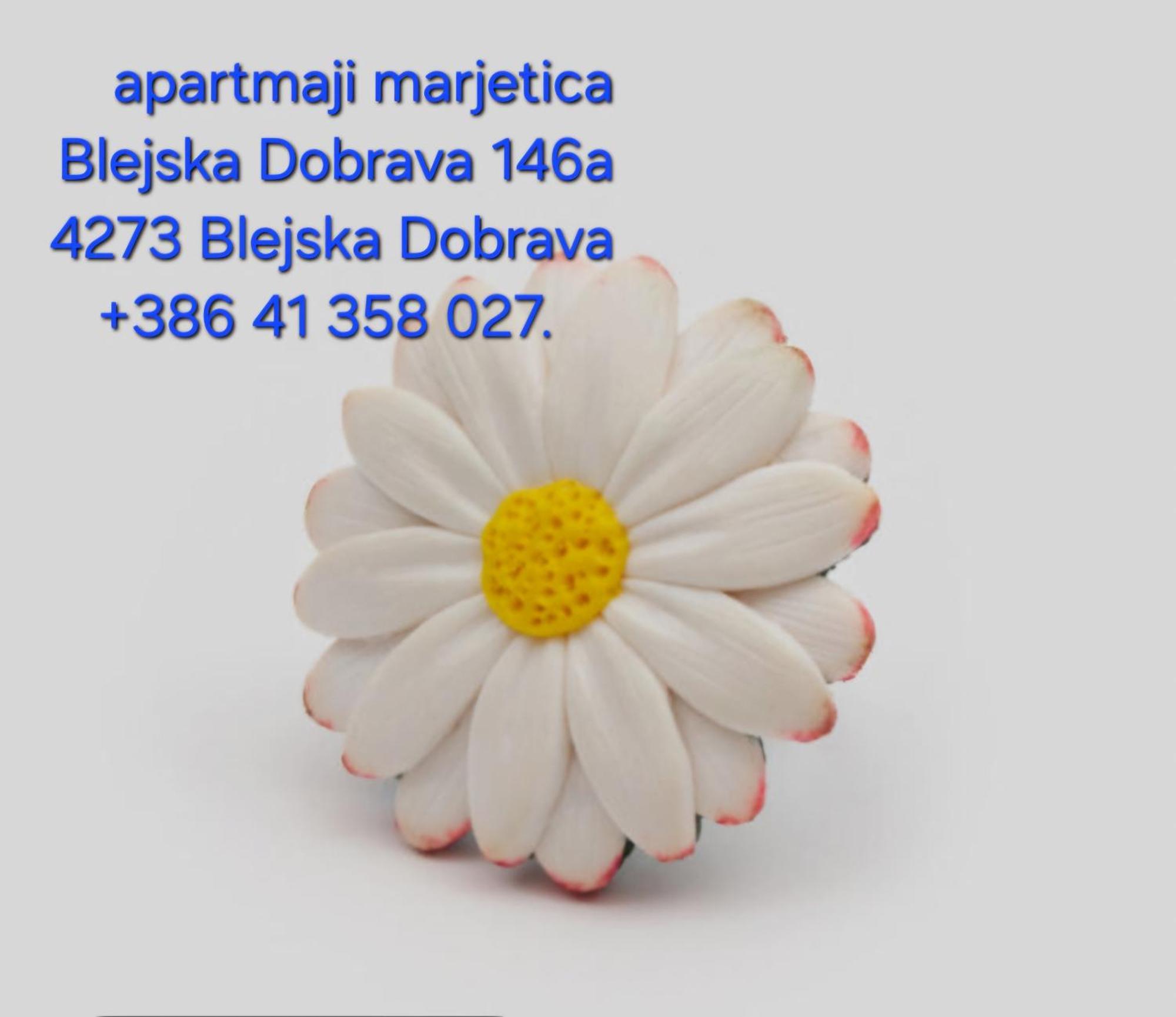 Blejska Dobrava Apartma Marjetica מראה חיצוני תמונה